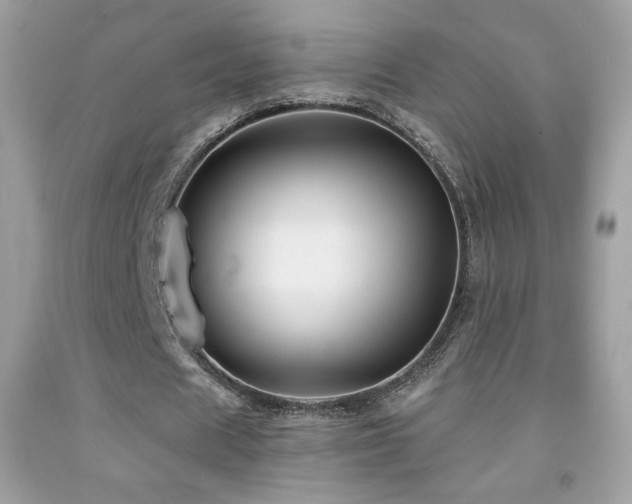 X0000091850625200709051147