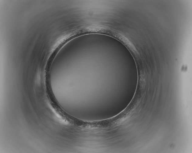 X0000091850626200709051147