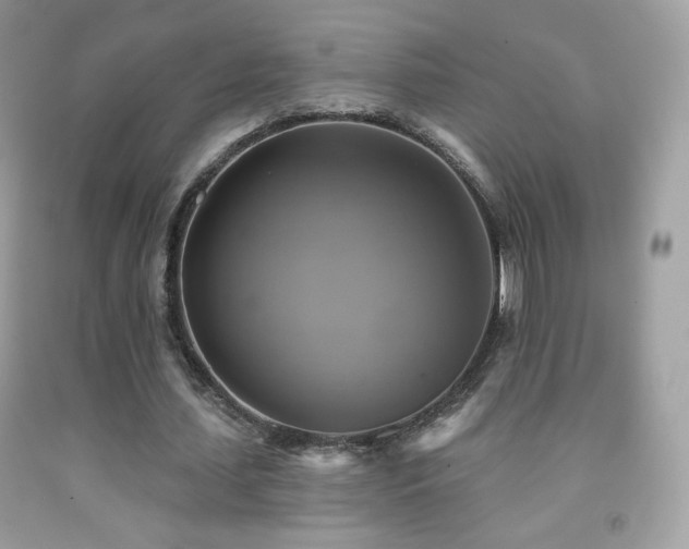 X0000091850627200709051147
