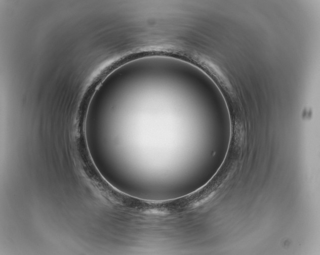 X0000091850628200709051147