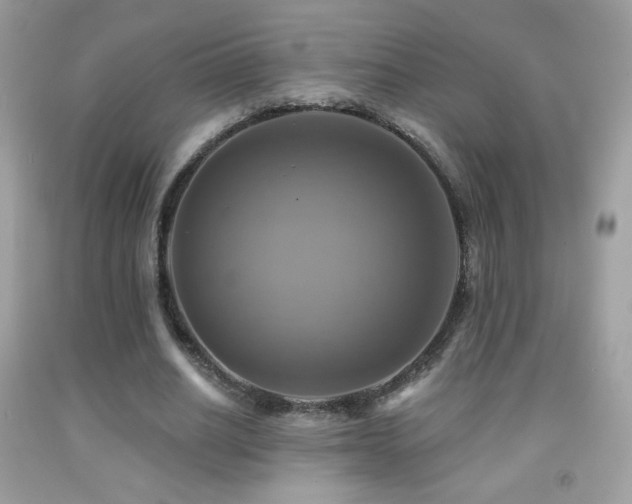 X0000091850630200709051147