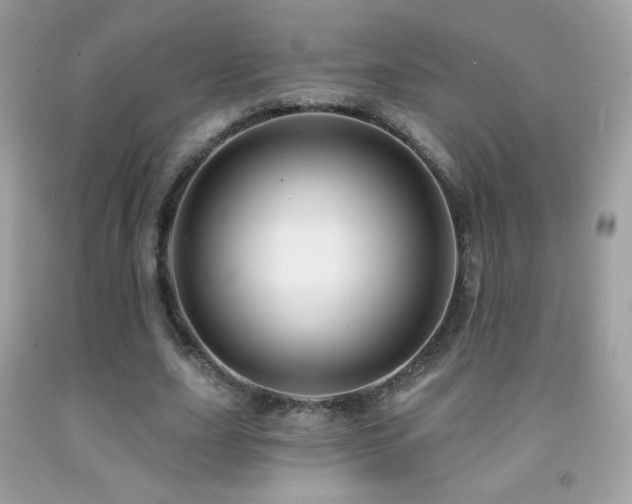 X0000091850631200709051147