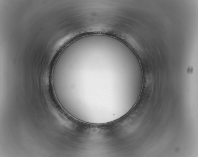 X0000091850632200709051147