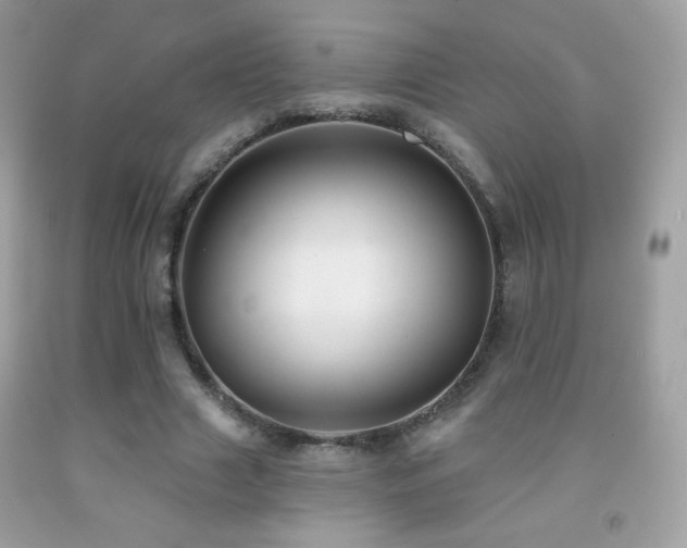 X0000091850633200709051147