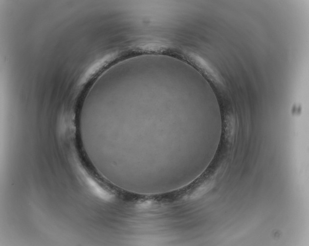 X0000091850634200709051147