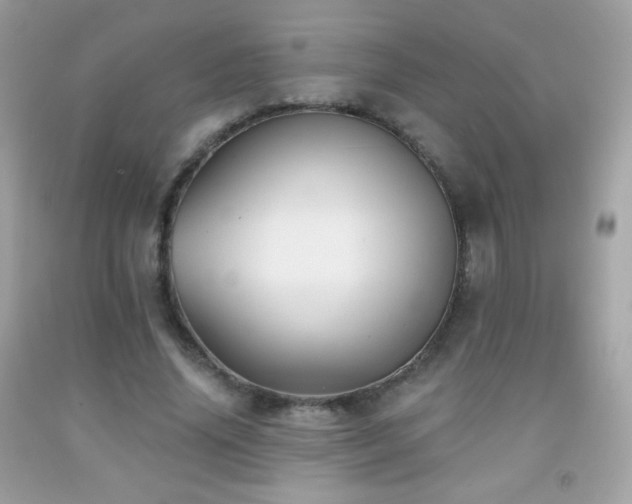 X0000091850636200709051147
