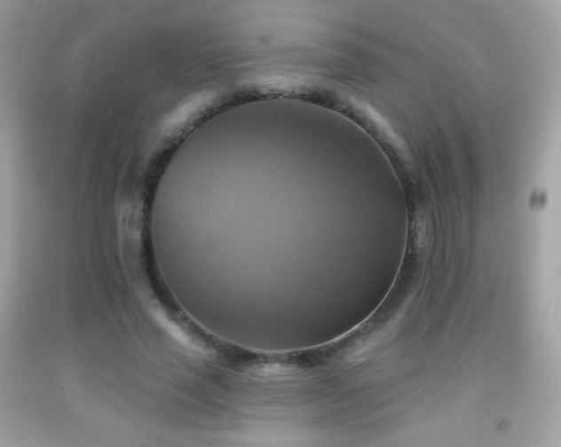 X0000091850637200709051147