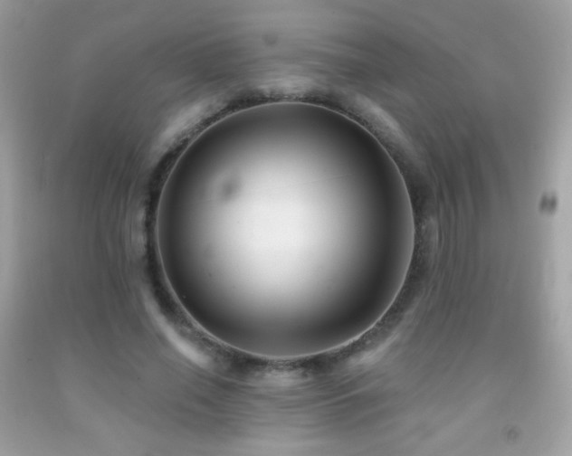 X0000091850638200709051147