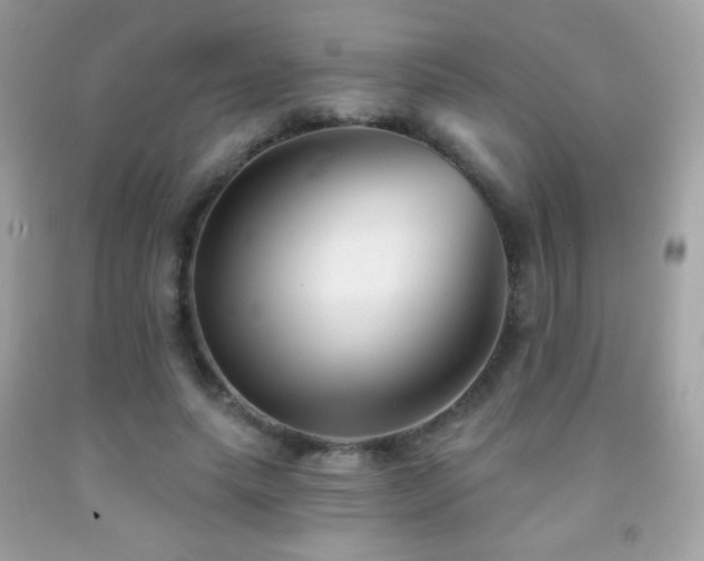 X0000091850639200709051147