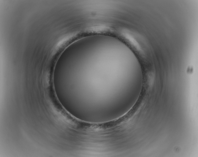 X0000091850640200709051147