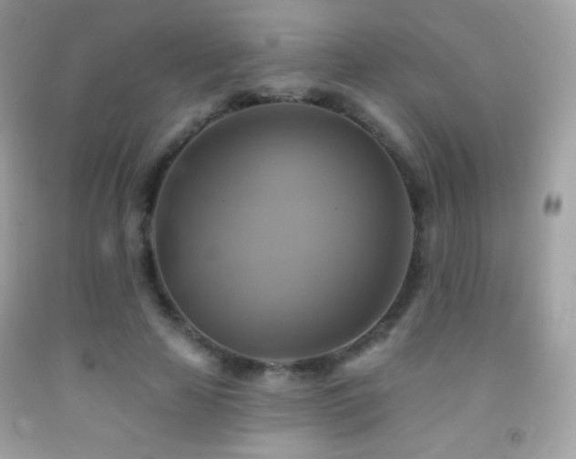 X0000091850641200709051147