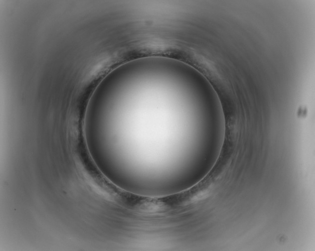 X0000091850642200709051147