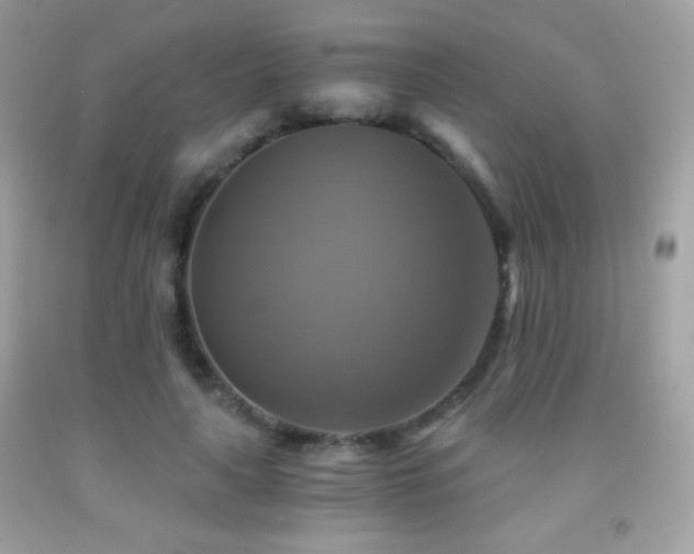 X0000091850643200709051147