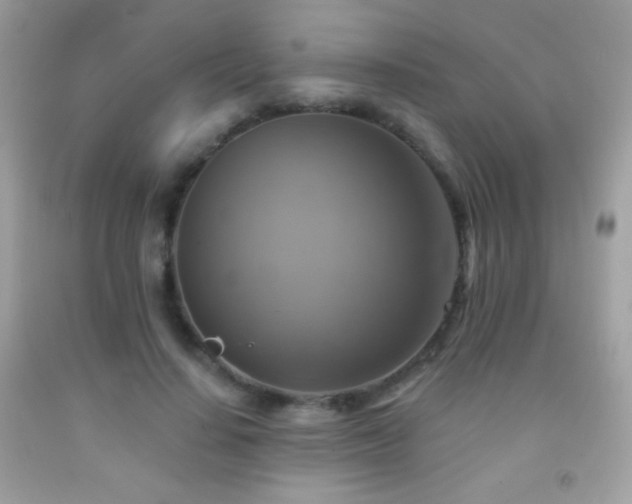 X0000091850644200709051147