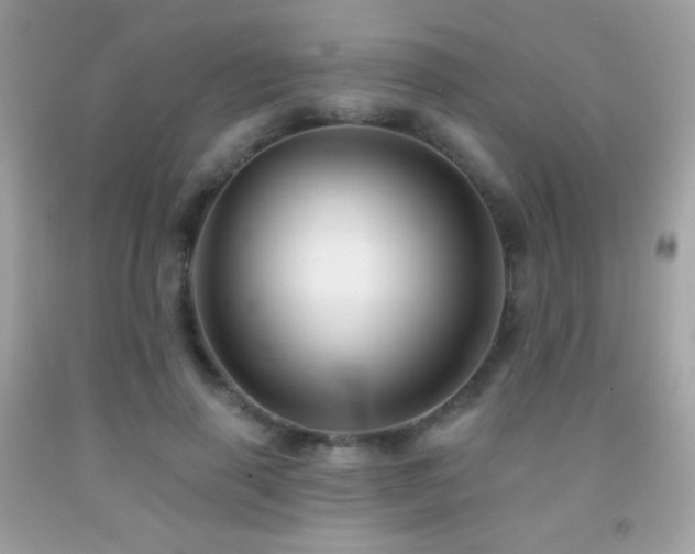 X0000091850645200709051147