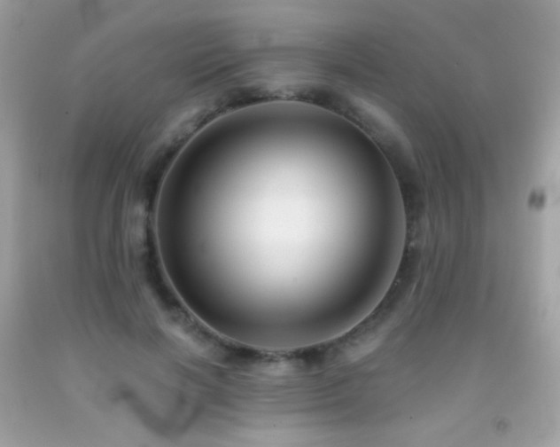 X0000091850646200709051147