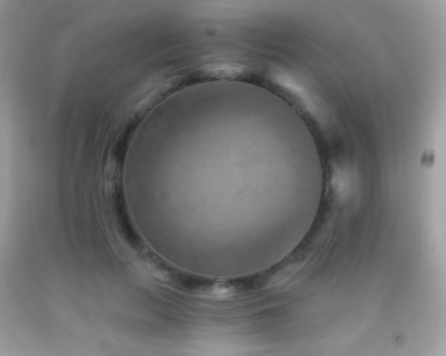 X0000091850647200709051147