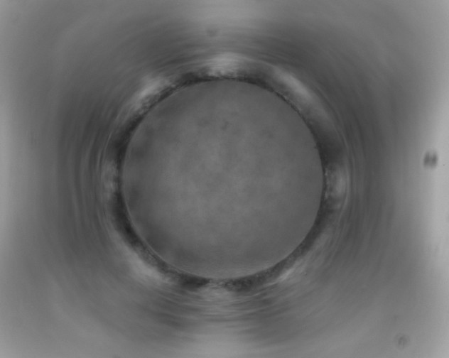 X0000091850648200709051147