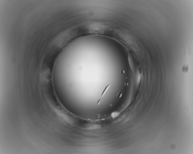 X0000091850649200709051147