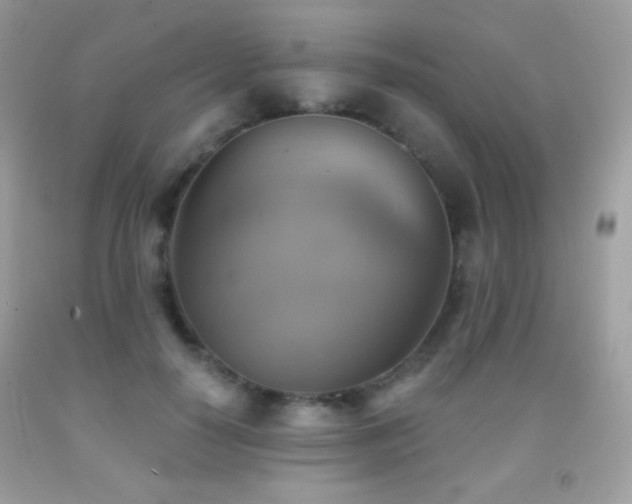 X0000091850650200709051147