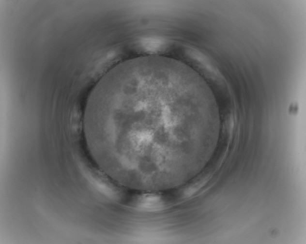 X0000091850651200709051147