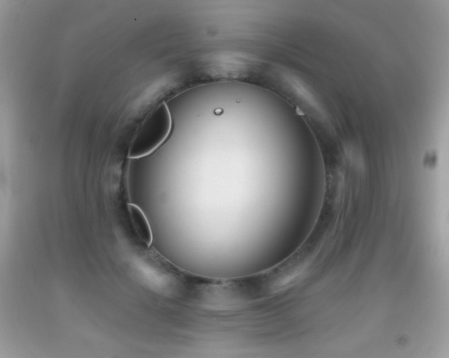 X0000091850652200709051147