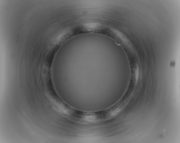 X0000091850653200709051147