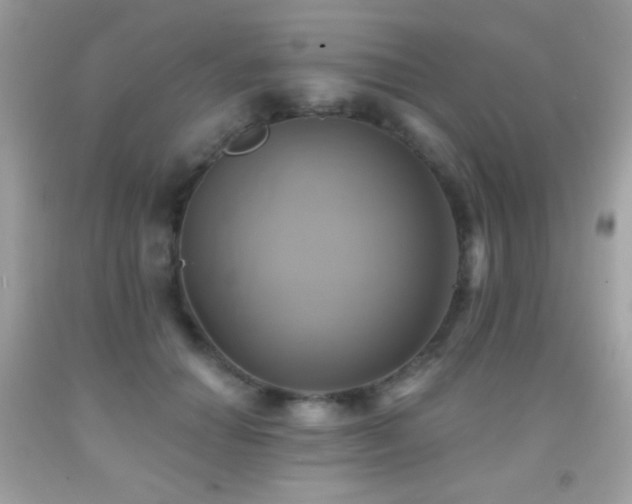 X0000091850654200709051147