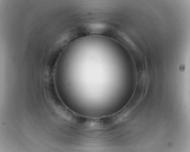 X0000091850655200709051147