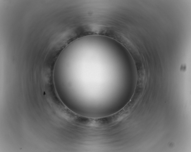 X0000091850656200709051147