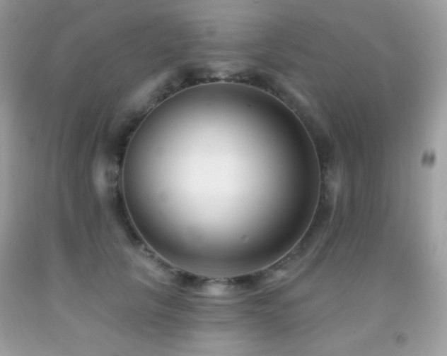 X0000091850657200709051147
