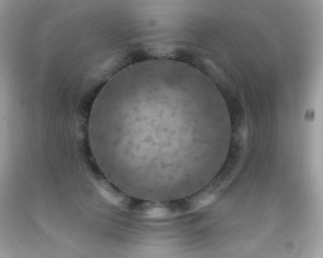 X0000091850658200709051147