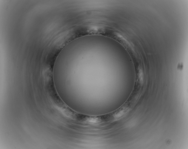 X0000091850659200709051147