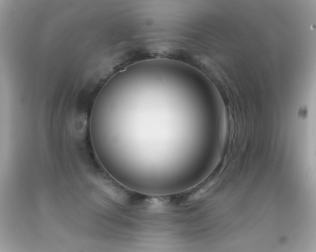 X0000091850660200709051147