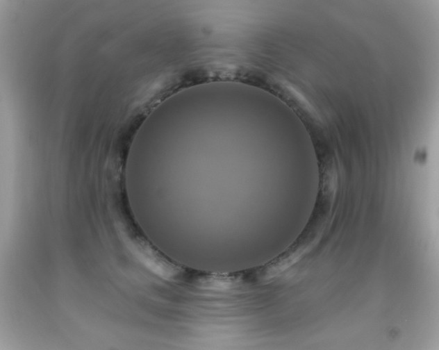X0000091850661200709051147