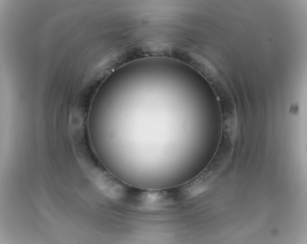 X0000091850662200709051147