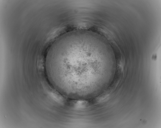 X0000091850663200709051147