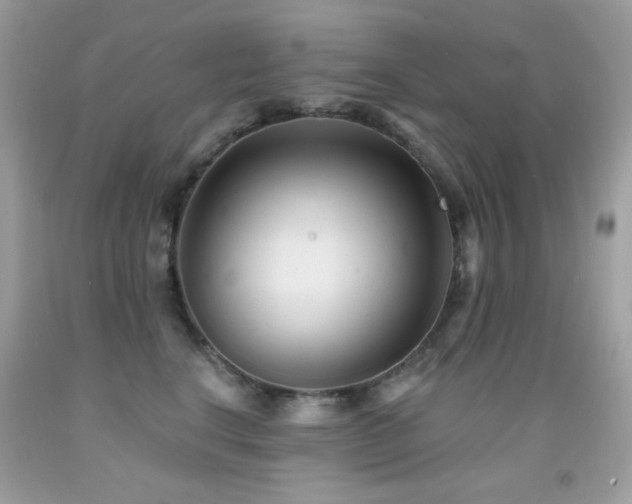 X0000091850664200709051147