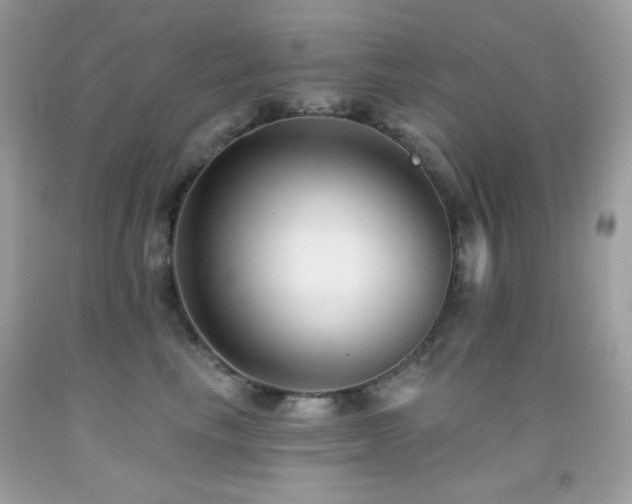 X0000091850665200709051147