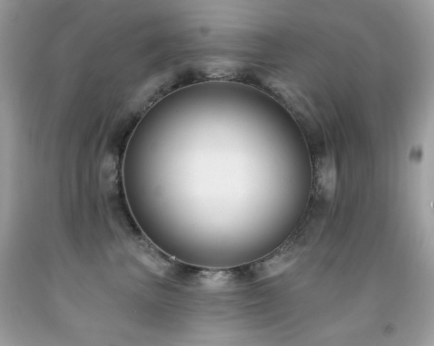 X0000091850667200709051147