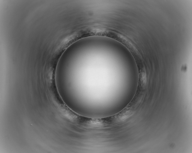 X0000091850668200709051147