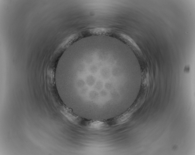 X0000091850669200709051147