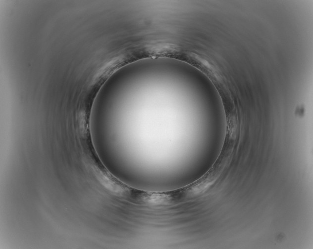 X0000091850670200709051147