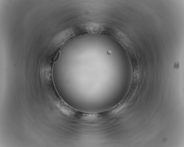 X0000091850671200709051147