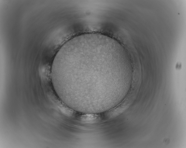 X0000091850672200709051147