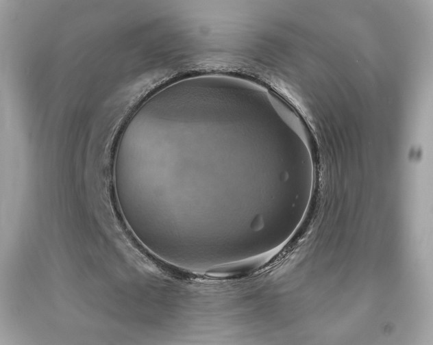 X0000091850673200709051147
