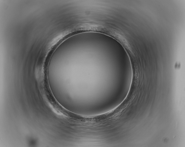 X0000091850674200709051147