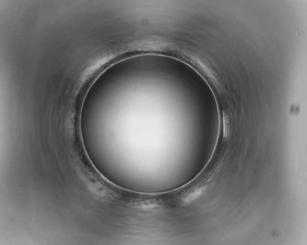 X0000091850675200709051147