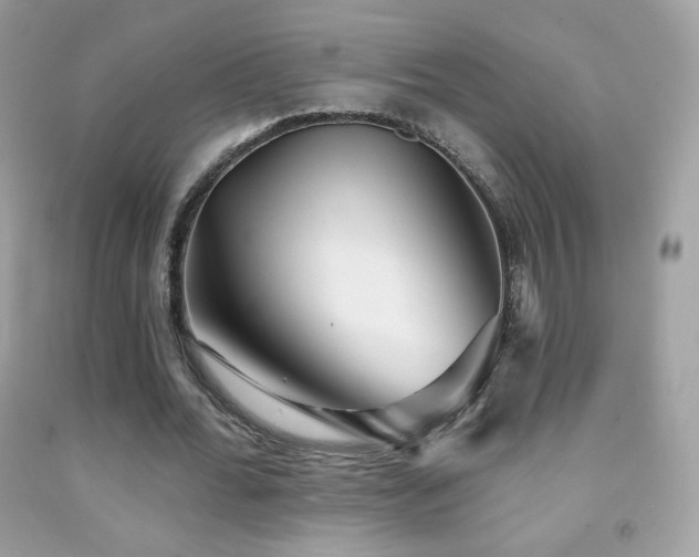 X0000091850676200709051147