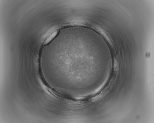 X0000091850677200709051147